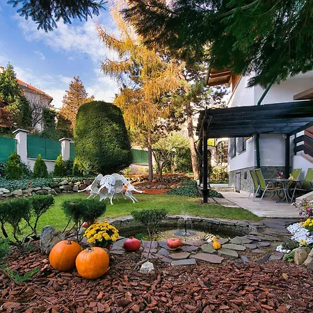 Panoramic Castle With Free Private Parking Apartamento *